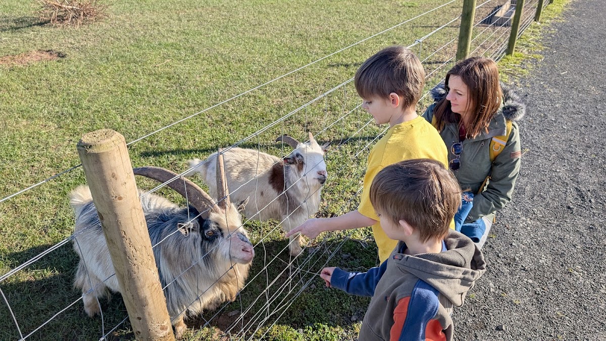 Active Kids Adventure Park