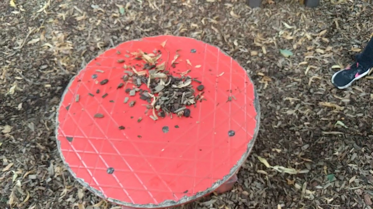 Alexandra Recreation Ground Childrens Play Area