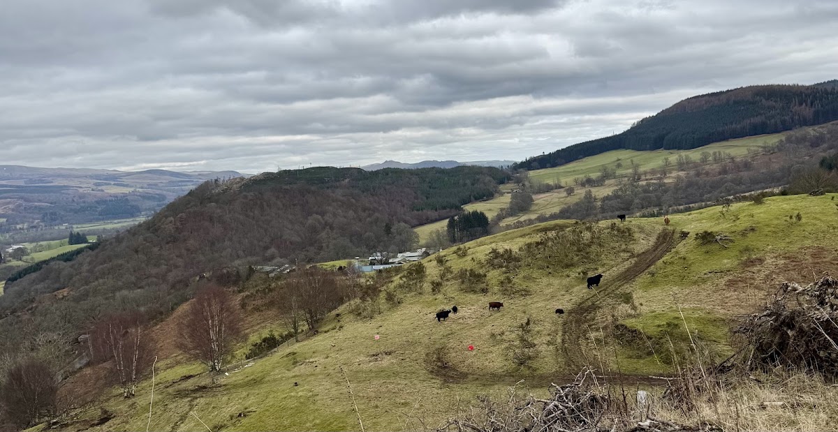 Auchingarrich Wildlife Park