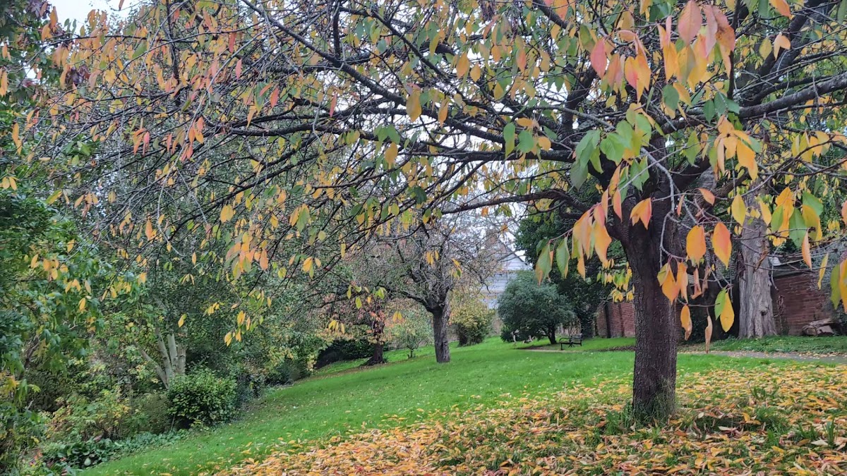 Belmont Sensory Garden