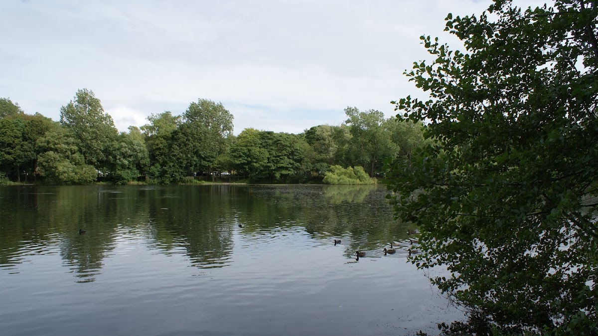 Blackpool Sports Centre