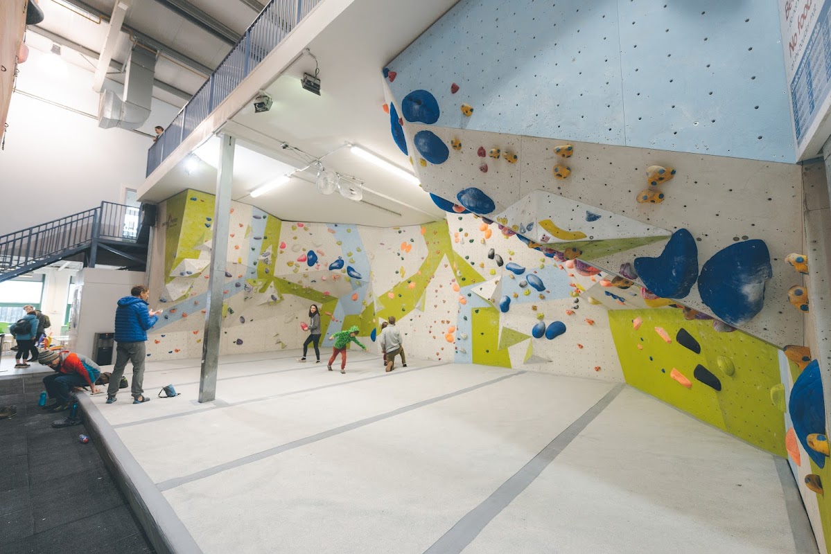 Blue Spider Climbing