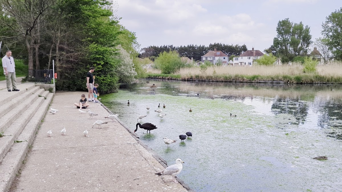 Brooklands Pleasure Park