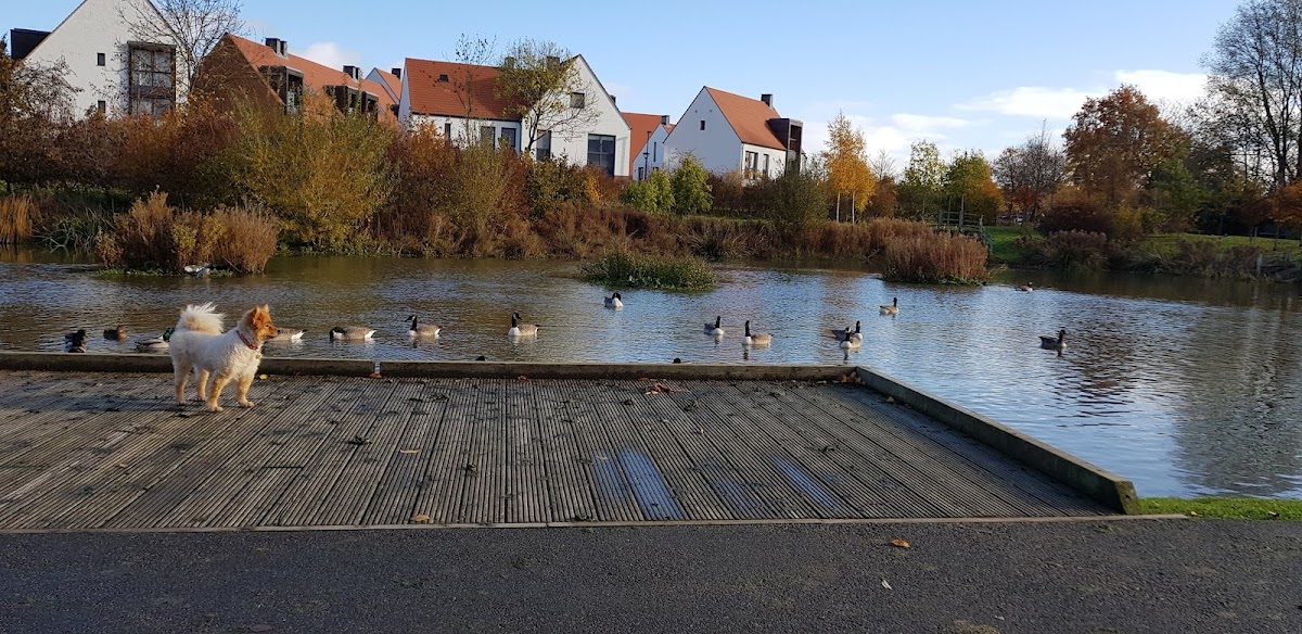 Derwenthorpe Childrens Park