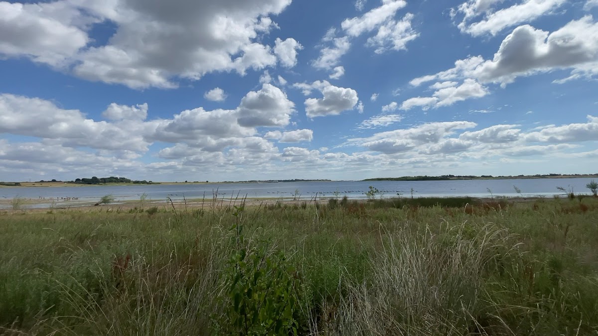 Essex Wildlife Trust Abberton Reservoir Nature Discovery Park