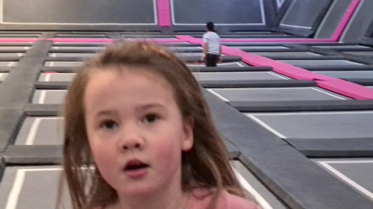 Freedog Swindon Soft Play and Indoor Activities