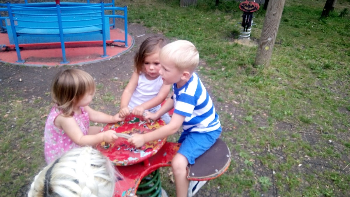 Goldhill Adventure Playground