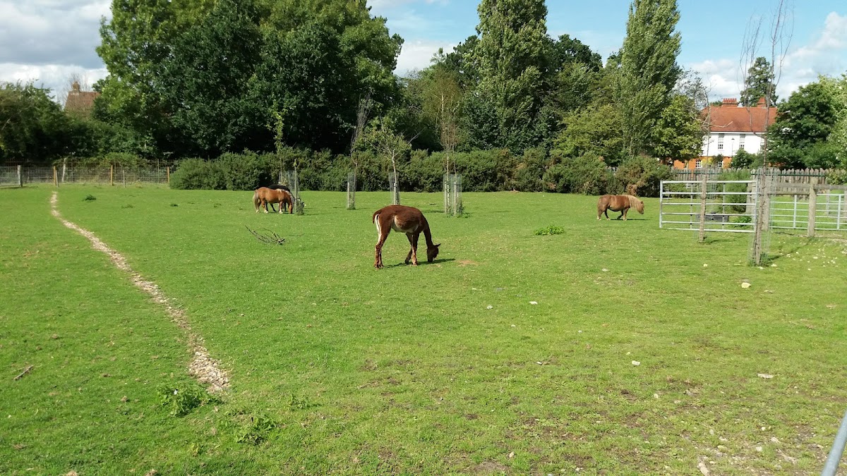 Hobbledown Adventure Farm Park and Zoo