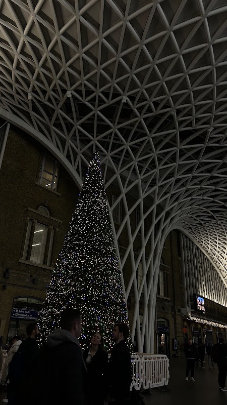 Indoor Children Play Area