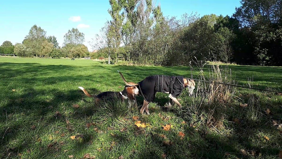Iris Brickfield Play Area