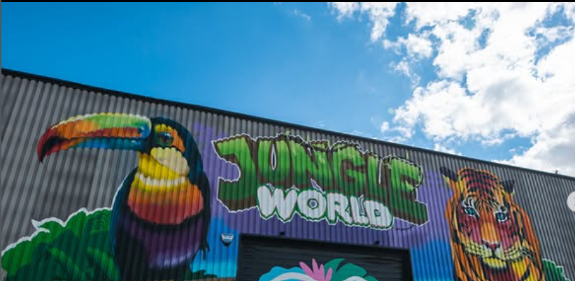 Jungle World Leyland - Play Park