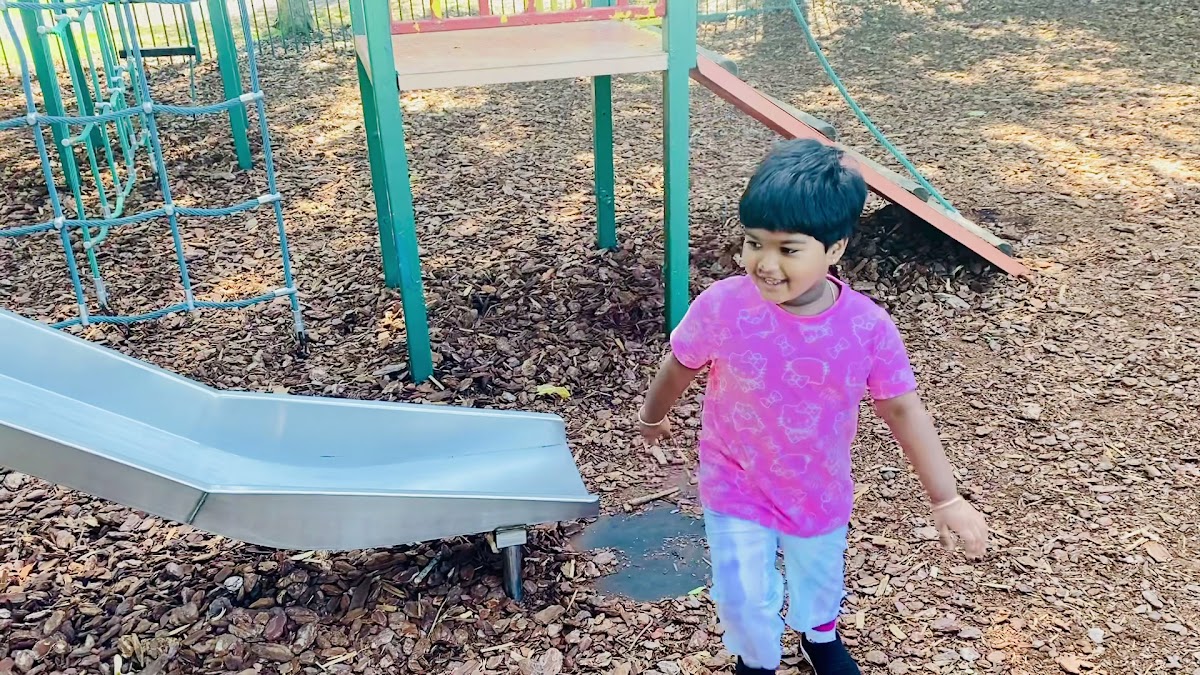 Kings Meadow Playground