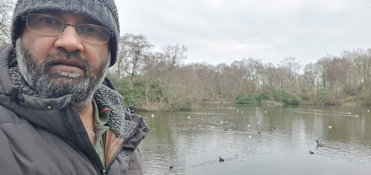 Lakeside Adventure, Playground