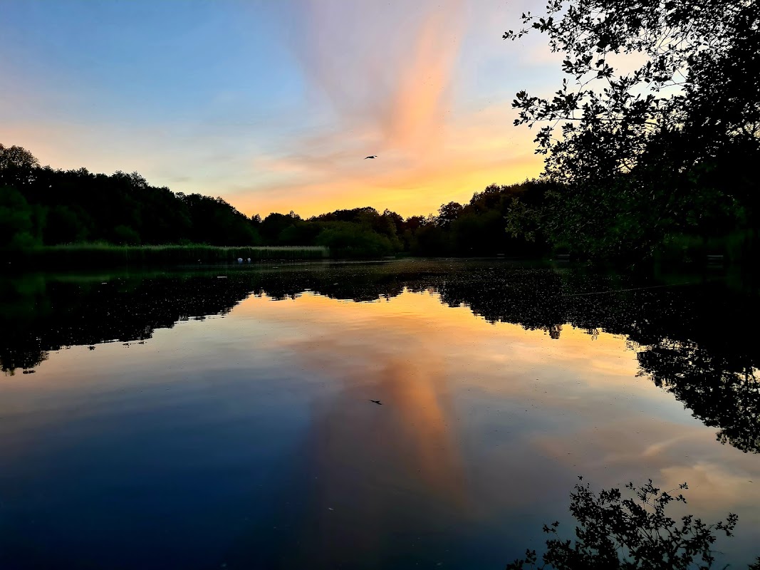 Lakeside Nature Reserve Play Area