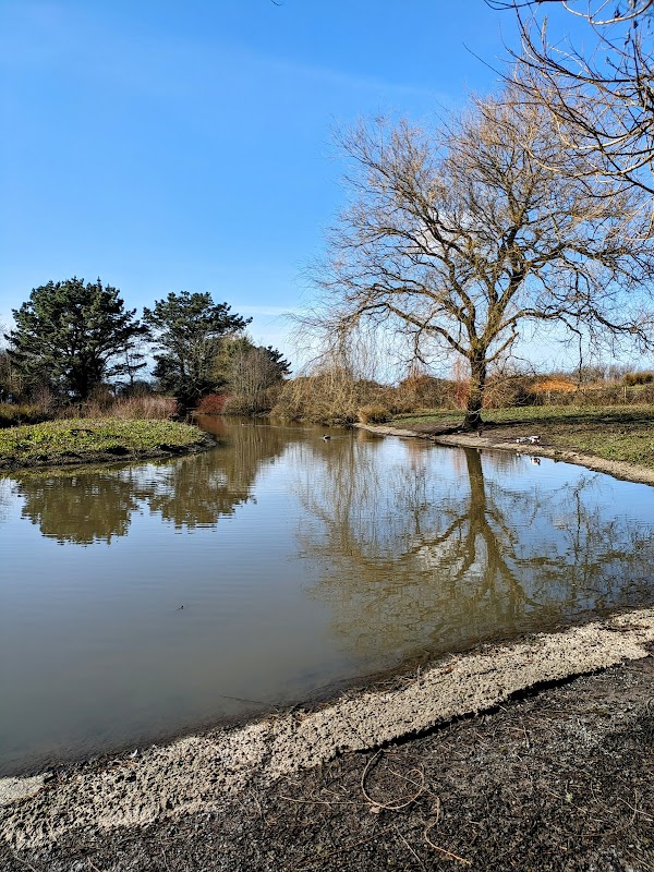 Llanelli Wetland Centre Adventure Play