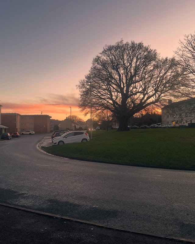 Matson Park Play Area