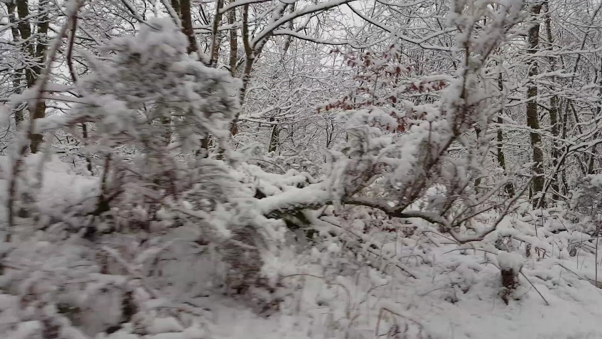 McLaren Community Leisure Centre