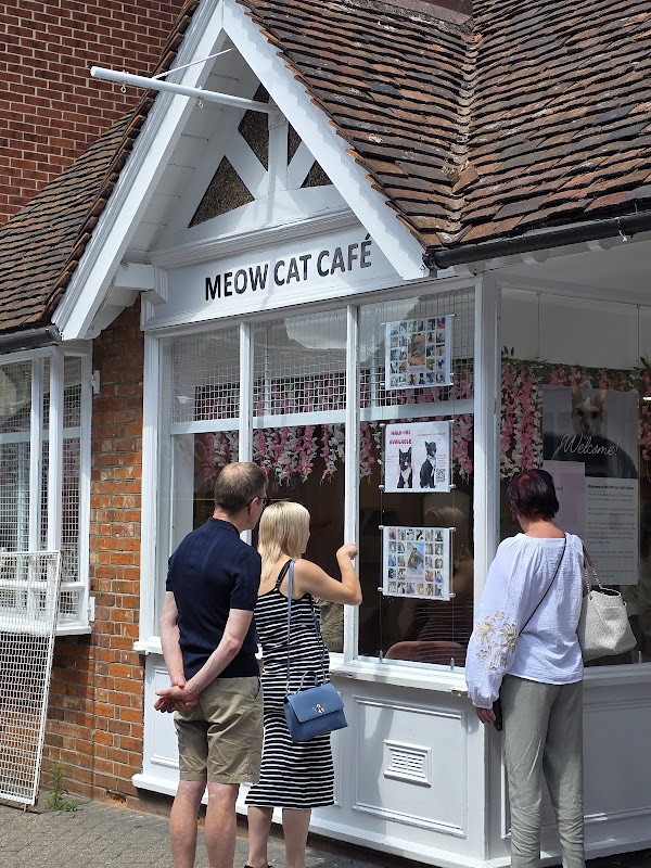 Meow Cat Café Essex