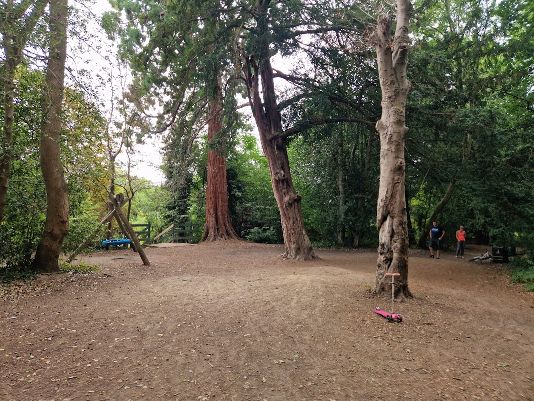 Mote Park Woodland Play Area