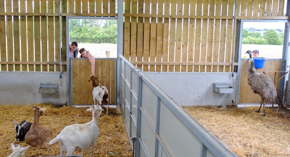 Mrs Dowsons Farm Park