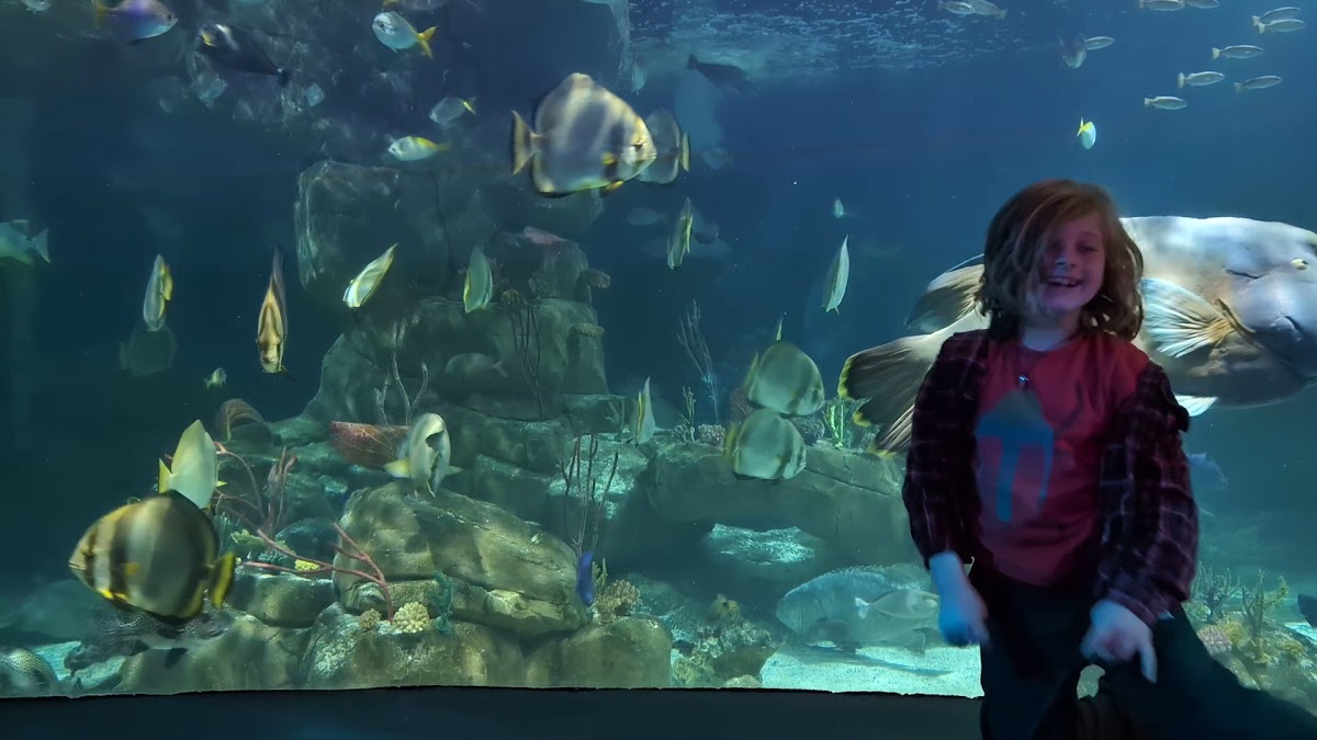 National Marine Aquarium