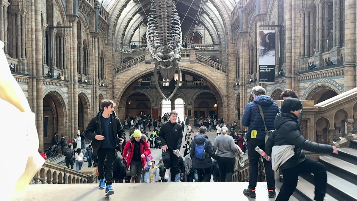 Natural History Museum