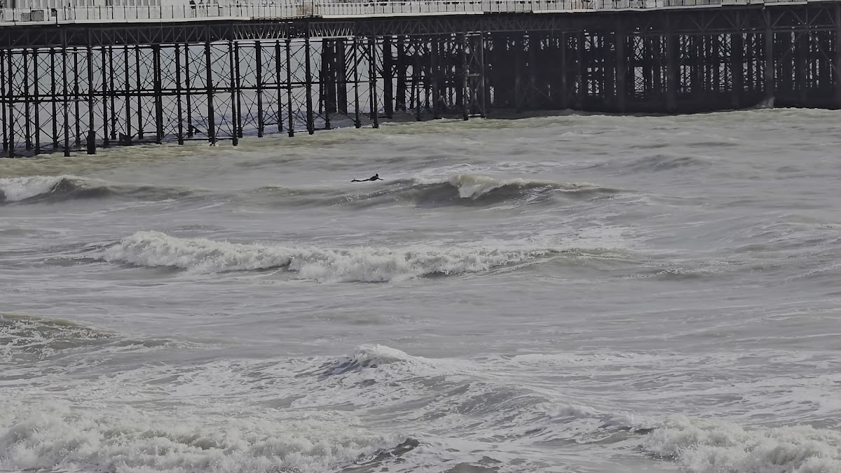 Palace of Fun - Brighton Palace Pier