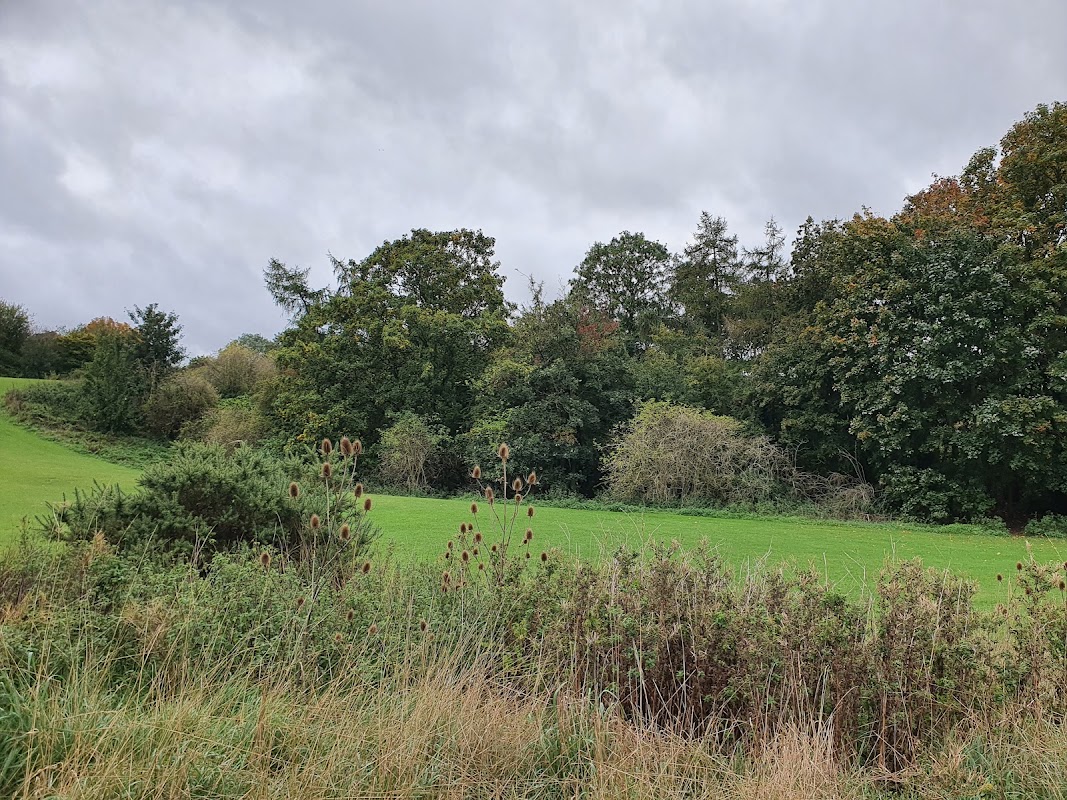 Popley Community Park