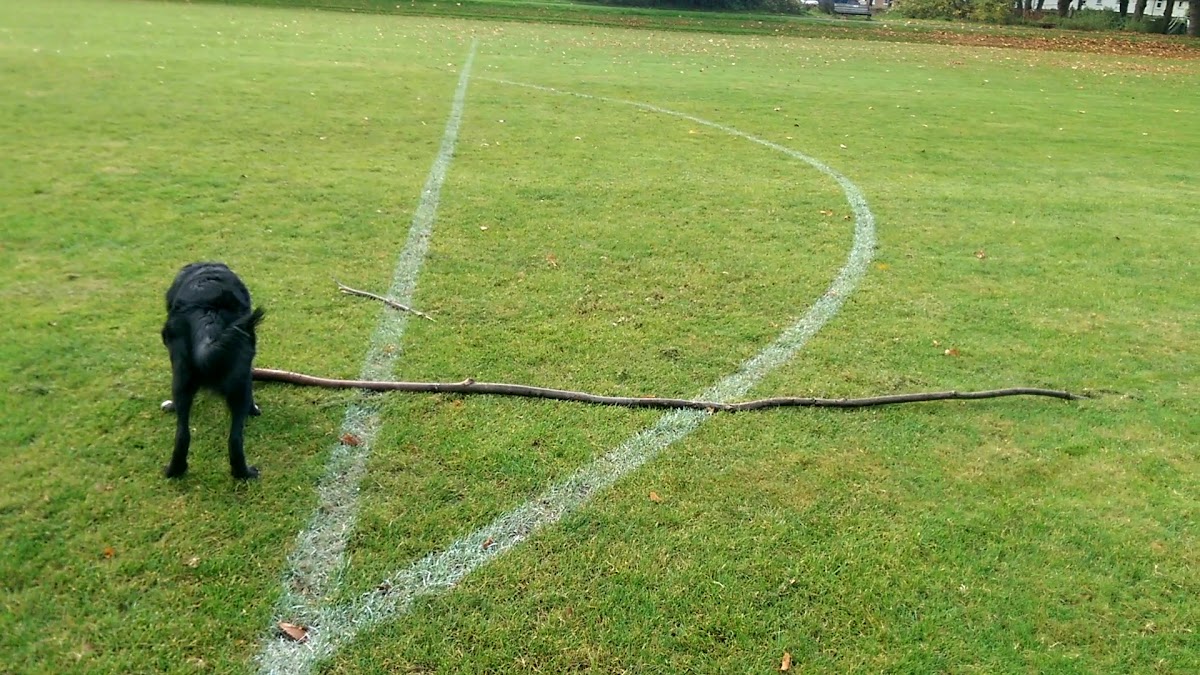 Queen's Road Recreation Ground and Play Area