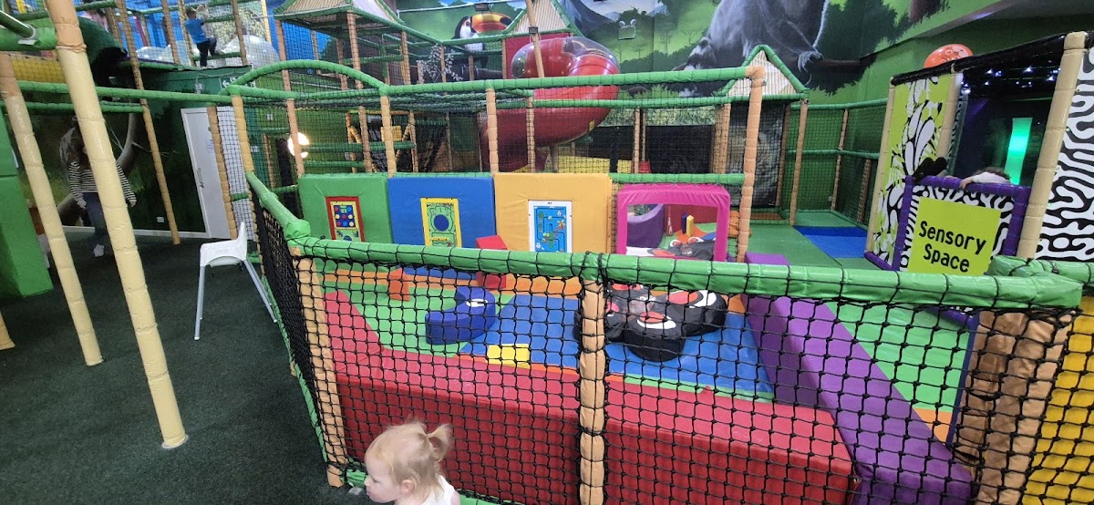 Rainforest Adventure Motherwell