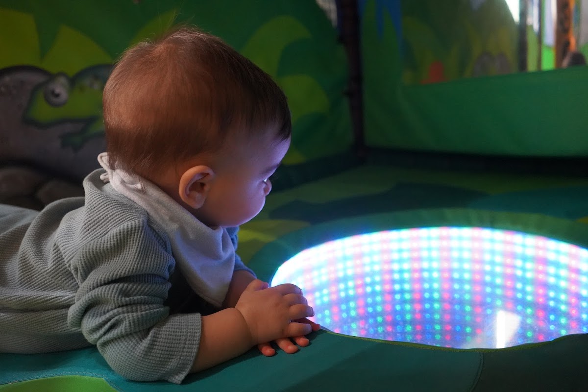 Rainforest Soft Play Cafe