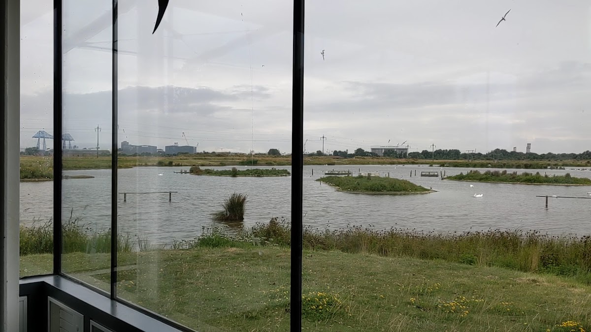 RSPB Saltholme