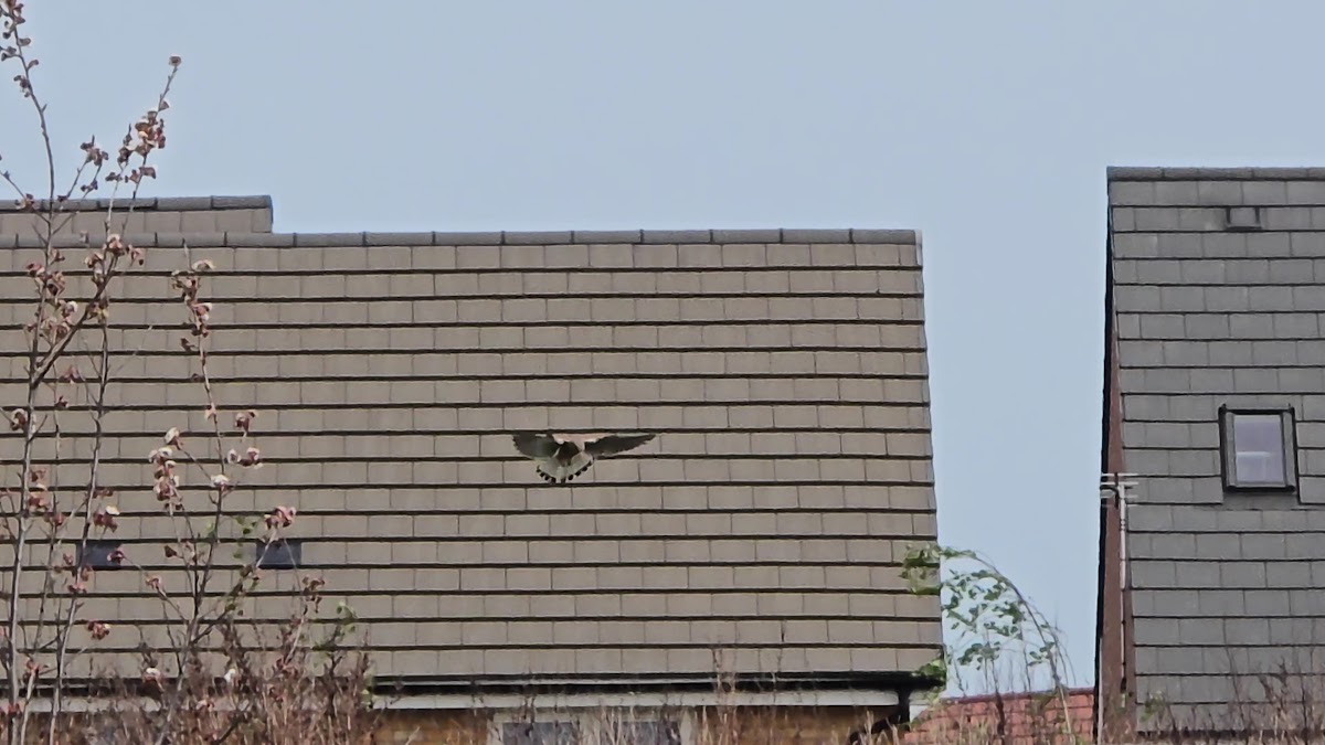 Sensory Island Playground