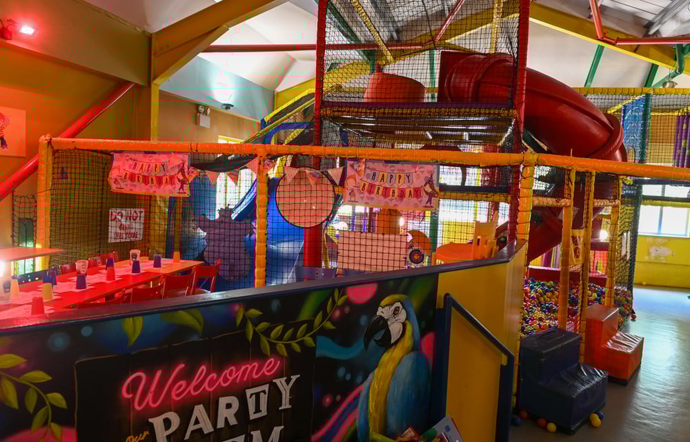 Squinting Cat Wacky Warehouse