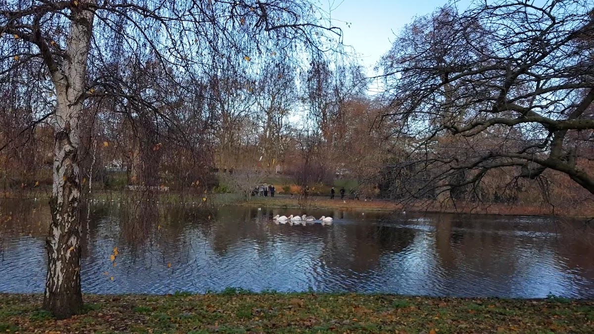 St James's Park Playground