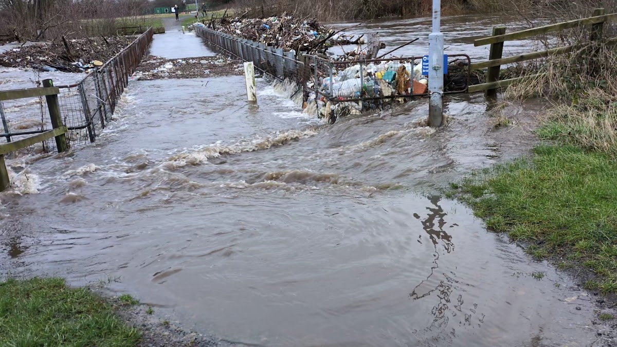 Stanley Ferry Wacky Warehouse