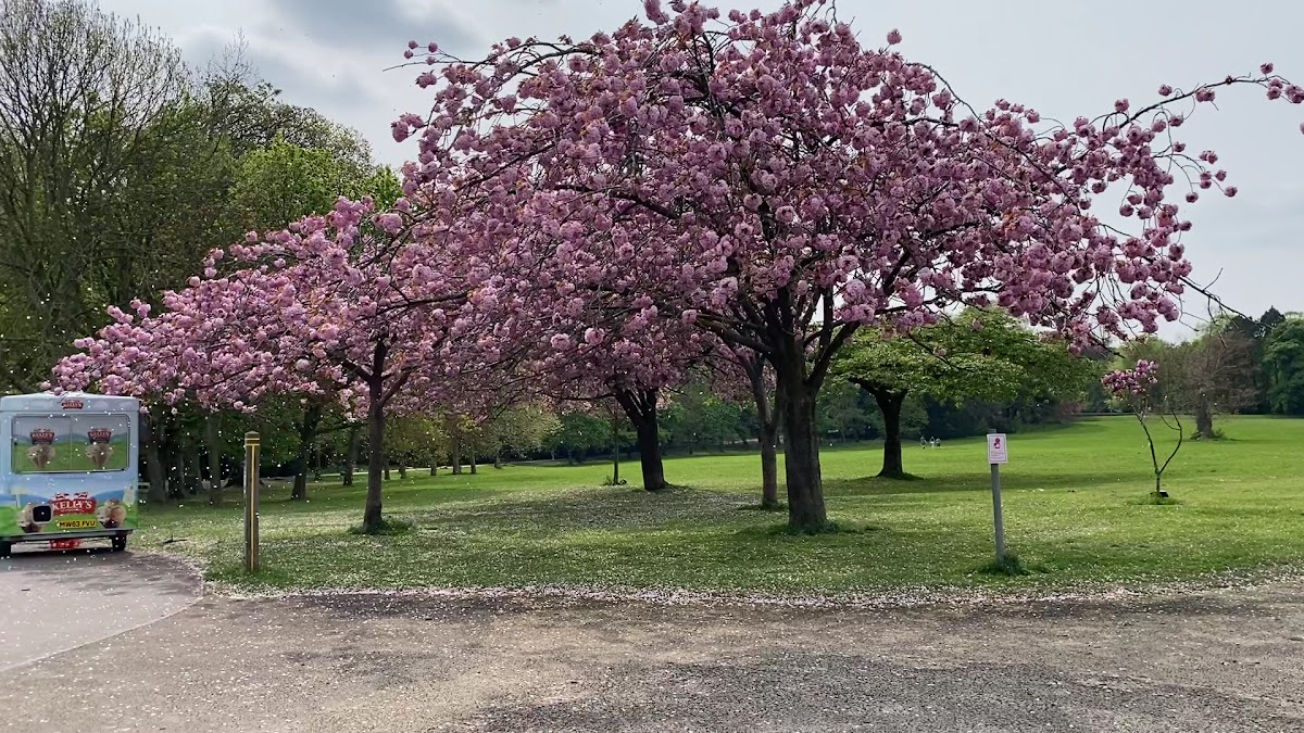 Stewart Park Playground