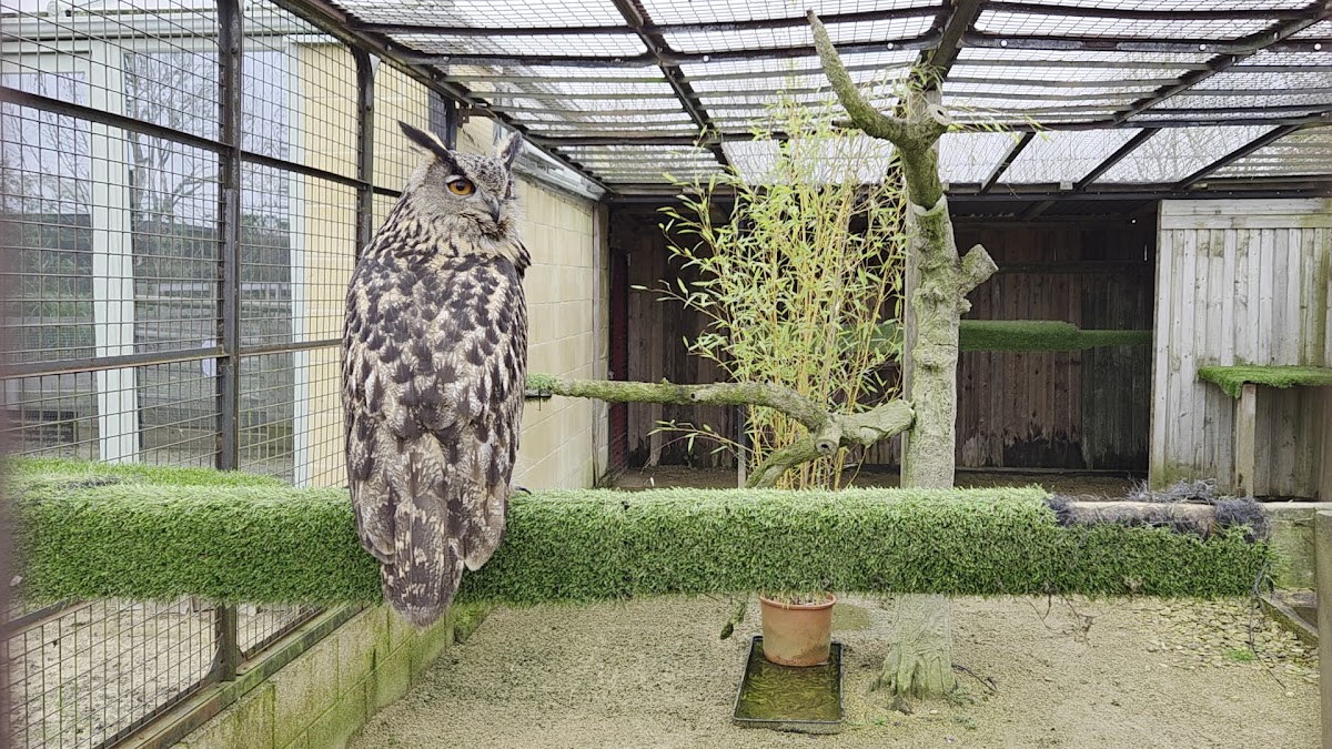 Studley Grange Garden & Leisure Park