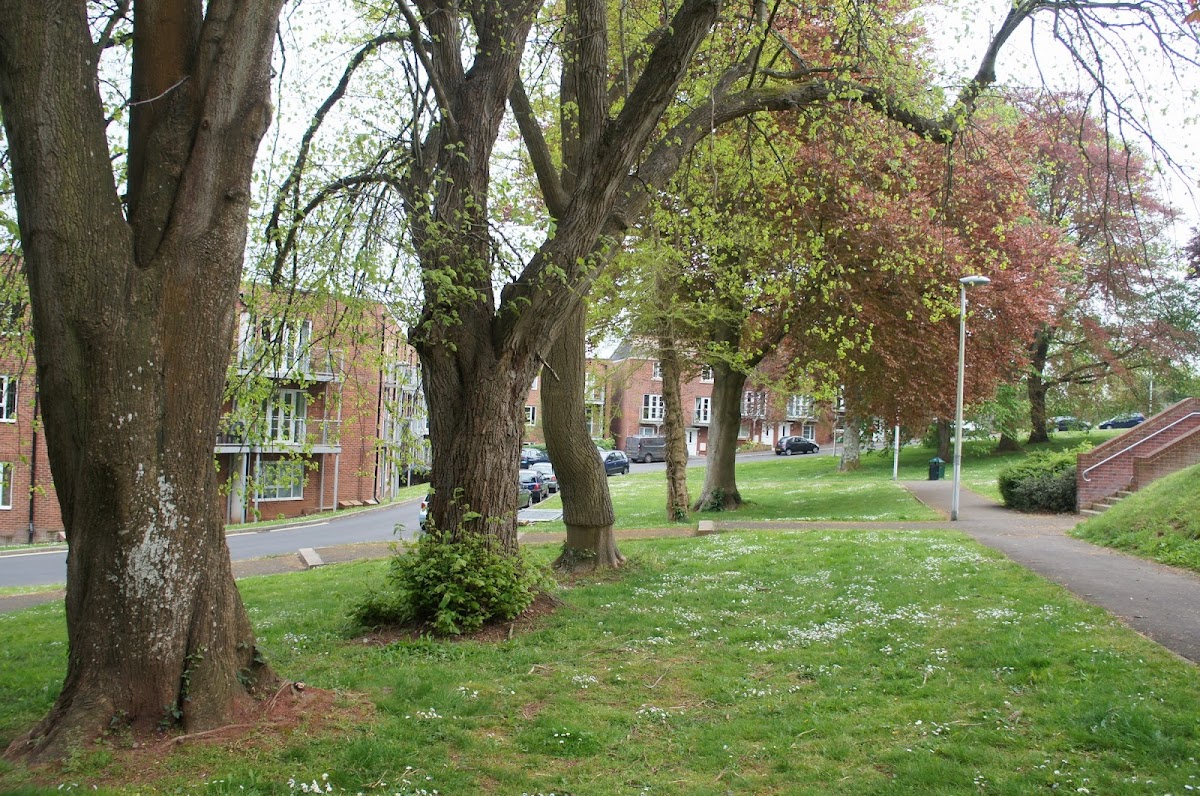 Sylvan Heights Play Area