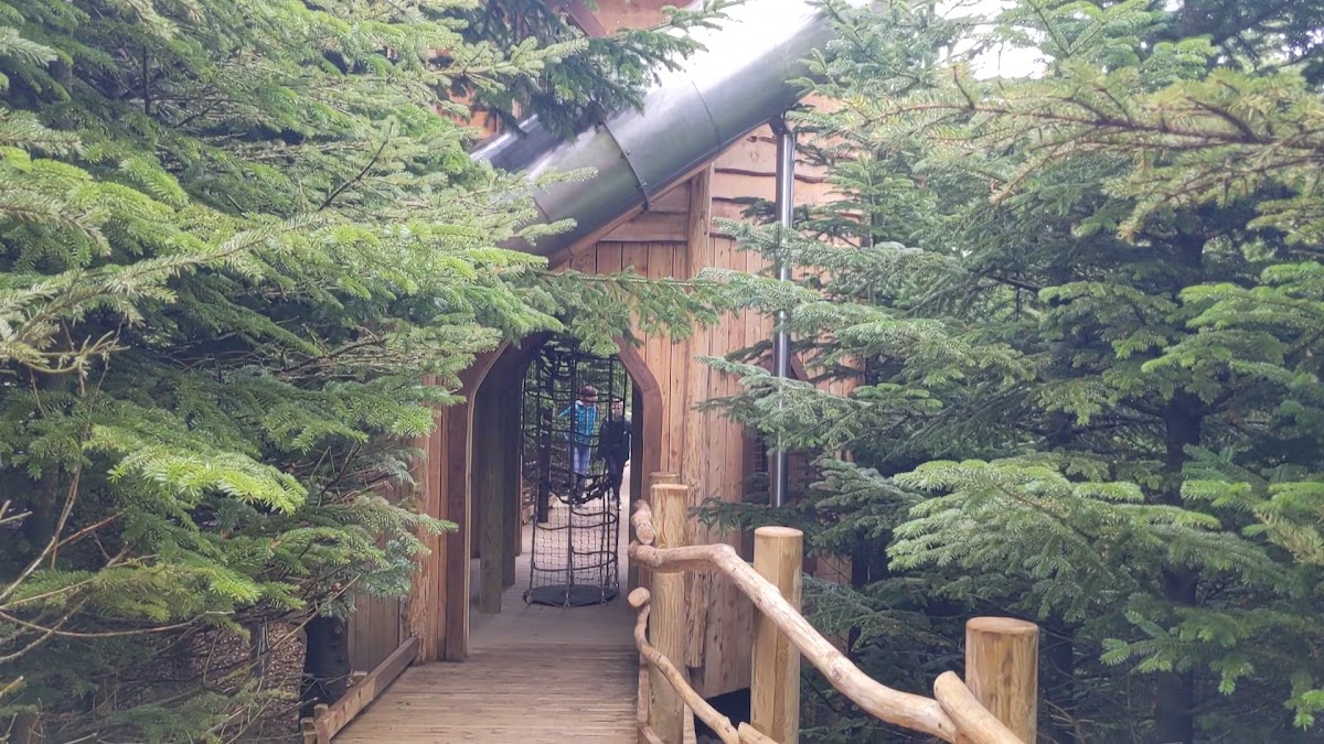 The Plotters’ Forest at Raby Castle, Park and Gardens
