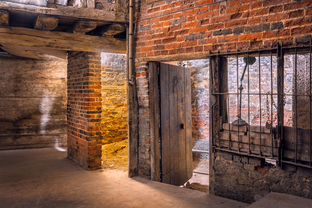 The Shoebox Experiences