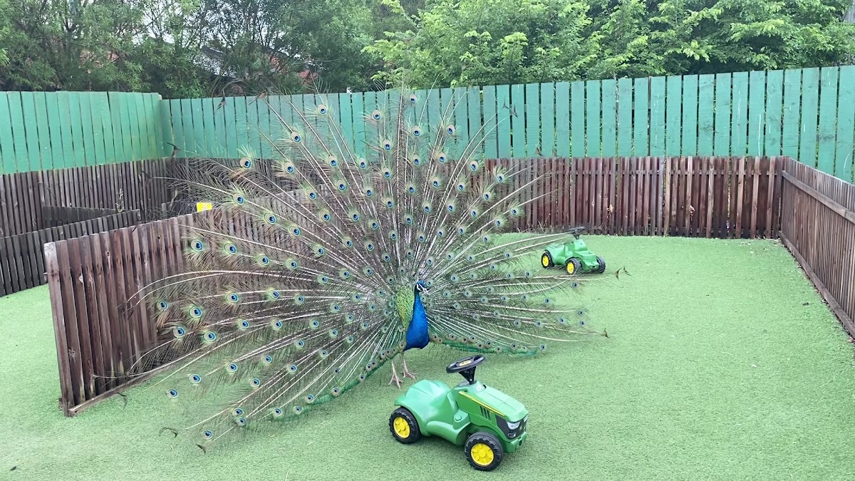 Tweddle Children's Animal Farm