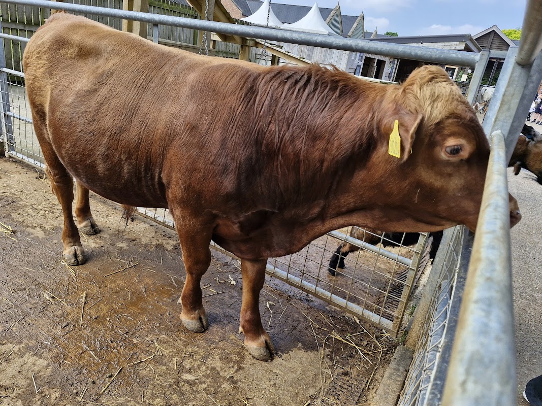 Wentworth Family Farm