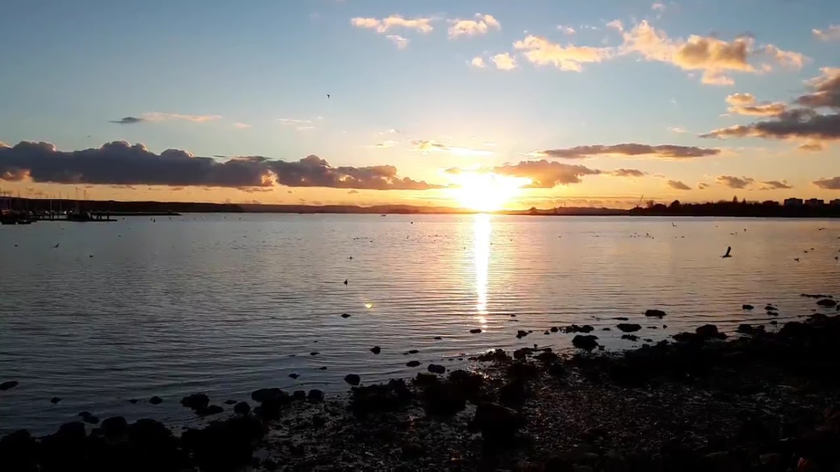 Whitecliff Harbourside Park