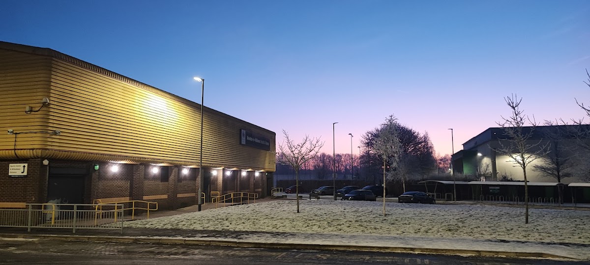 WILLOWBEES Adventure Play