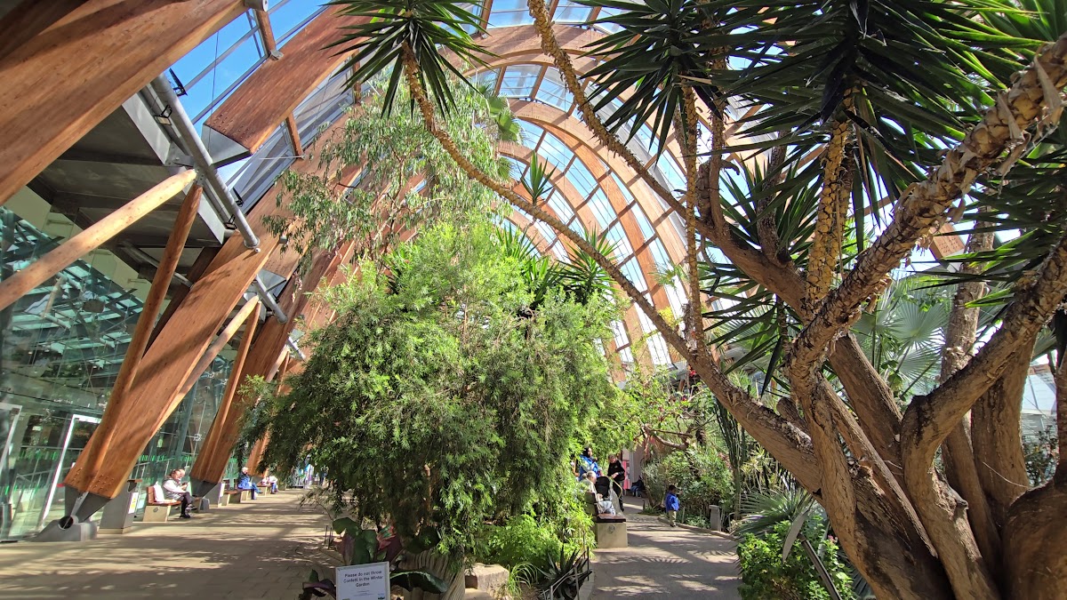 Winter Garden