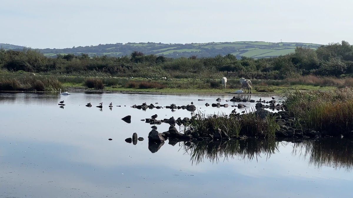 WWT Llanelli Wetland Centre