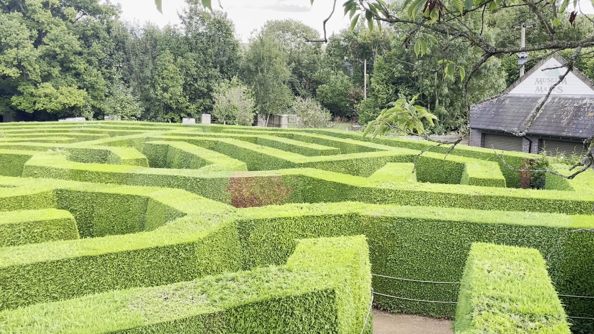 Wye Valley Butterfly Zoo