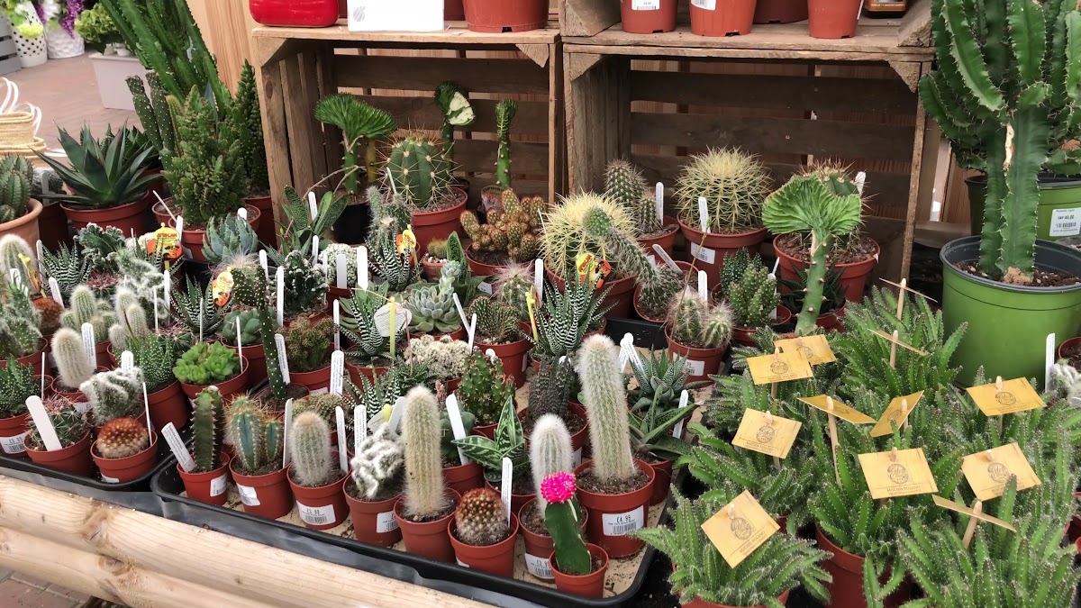 Yarnton Home & Garden